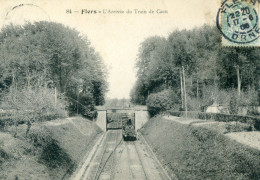 ARRIVEE DU TRAIN DE CAEN - Flers