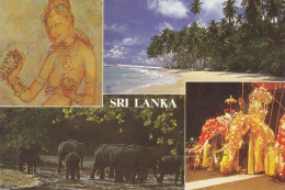 Sri Lanka Divers Aspects Avec Eléphants - Sri Lanka (Ceylon)