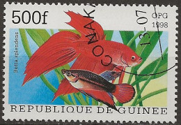 Guinée N°1255M (ref.2) - Poissons