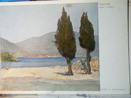 Lago Di Garda Brescia Portese Sul Garda Pittura ILLUSTRATA  E. Polesello   N1935  JW6695 - Brescia