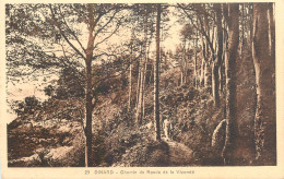 Postcard France Dinard Chemin De La Ronde - Dinard