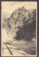 RO 10 - 23201 POIENARI, Arges, Railway & TEPES Tower, Romania - Old Postcard, CENSOR - Used - 1918 - Rumania