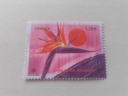 TIMBRE  DE  FRANCE   ANNÉE  2024   OUSEAU  DE  PARADIS   NEUF  SANS  CHARNIÈRE - Unused Stamps