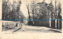 R150914 Grove Hill. Harrow. Valentine. 1904 - Monde