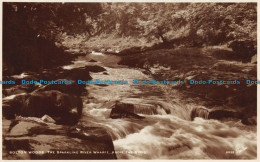 R151556 Bolton Woods. The Sparkling River Wharfe Above The Strid. Walter Scott. - World