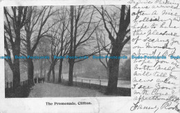 R150931 The Promenade Clifton. 1903 - World