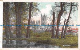 R151595 The Cathedral From River. Canterbury - World