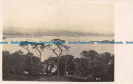 R150971 Old Postcard. Lake And Trees - World