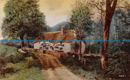 R151608 Old Postcard. Road To The House. Rotary. RP. 1926 - Monde