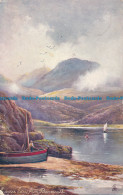 R151627 Cader Idris From Barmouth. Tuck. Oilette. No 6233. 1911 - Monde