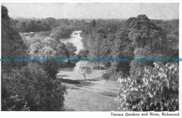 R151635 Terrace Gardens And River Richmond - World