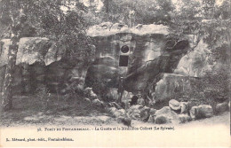 77- Fôret De Fontainebleau - Grotte Et Médaillon COLINET (Le Sylvain) Edit. Ménard - Fontainebleau