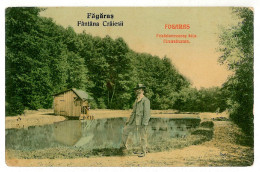 RO 10 - 4016 FAGARAS, Brasov, Park, Fantana Craiesii, Romania - Old Postcard - Unused - Roumanie