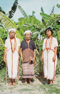 Thaïlande Thaïlandaises Et Jolies Filles De Hill-Tribe à Chiengmai - Thaïland