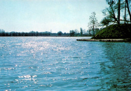 RECTO/VERSO - CPSM - LE QUESNOY - COUCHER DE SOLEIL SUR L'ETANG - Le Quesnoy