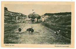 RO 10 - 1035 ETHNICS, Oxcart, Turkeys, Country Life - Old Postcard - Unused - 1917 - Romania