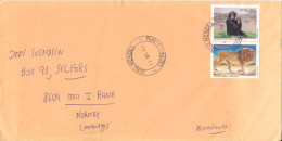 Brazil Cover Sent To Norway  24-9-2008 Topic Stamps LION & CHIMPANSE - Covers & Documents