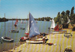 Près Gaillac --RIVIERES -- 1966--Rive Droite Du Tarn...en Amont Du Barrage De Rivières (animée,voiliers ) - Other & Unclassified