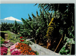 10270521 - Bananenplantagen Teide - Tenerife