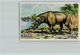 40118821 - Nashorn Uintatherium Erdal-Kwak Sammelbild - Altri & Non Classificati