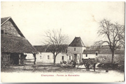 CHAMPEAUX - Ferme De Malvoisine - Autres & Non Classés