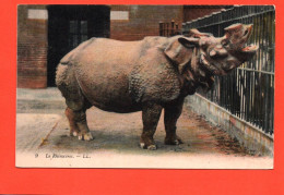 Le RHINOCEROS ( Corne Sciée )     (2 Scans ) 21739 - Neushoorn