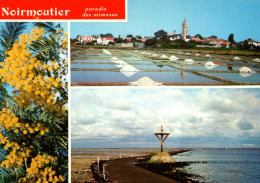 RECTO/VERSO - CPSM - NOIRMOUTIER - PASSAGE DU GOIS ET MARAIS SALANTS - AU FOND L'EGLISE - PARADIS DES MIMOSA - Noirmoutier