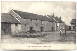 LISSY - La Grande Ferme - Les Moutons - Other & Unclassified