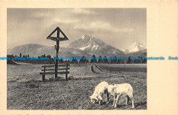 R151029 Old Postcard. Sheeps Near The Mountains - Monde