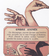 Chromos / Decoupis - Publicité Phoscao -  Ombre Animée ( Chinoise ) Le Cygne - Otros & Sin Clasificación