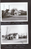 3 Photos Originales 80 SOMME 1975 - Auberge Des Pins Et Restaurant Le Petit Moulin à BRIGHTON Et Vaches (25)_PHOT221a&b - Places