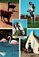 RECTO/VERSO - CPSM - CAMARGUE - MULTIVUE - CHEVAL BLANC QUI CABRE - FLAMANT ROSE - GARDIAN - Autres & Non Classés