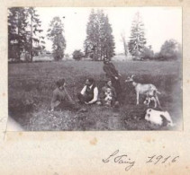 6 Photos Originales " VOSGES 88 - LE FAING 1916 Personnes S'amusant Avec Chien Et Chèvres " _PHOT112a Et B - Anonymous Persons