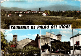 (29/05/24) 66-CPSM PALAU DEL VIDRE - Autres & Non Classés