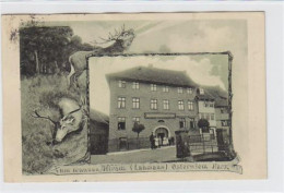 39022431 - Zum Braunen Hirsch ( Lahmann ) In Osterwieck Im Harz / Kreis Halberstadt Gelaufen. Die Marke Fehlt. Leicht F - Autres & Non Classés