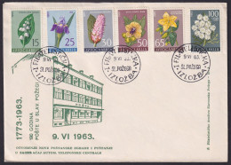 .Yugoslavia, 1963-06-09, Croatia, Slavonska Požega, Special Cover & Postmark (Flowers) - Altri & Non Classificati