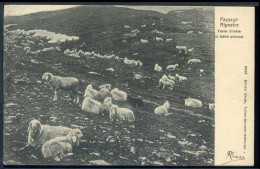 Table D'Hote - Paysage Alpestre - Viaggiata 1904 - Rif  16485 - Autres & Non Classés