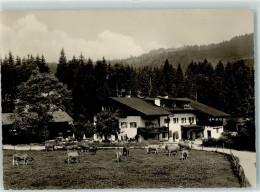 39335831 - Elmau - Andere & Zonder Classificatie