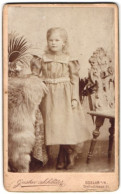 Fotografie Gustav Schlüter, Goslar A /H., Breitestrasse 91, Portrait Kleines Mädchen Im Modischen Kleid  - Personnes Anonymes