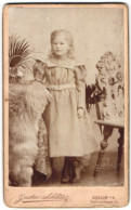 Fotografie Gustav Schlüter, Goslar A /H., Breitestrasse 91, Portrait Kleines Mädchen Im Modischen Kleid  - Anonymous Persons