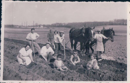 Scènes De La Campagne, Attelage De Chevaux à La Houe Pour Planter Les Pommes De Terre (1934) - Culture