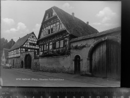 30049031 - Hassloch , Pfalz - Autres & Non Classés