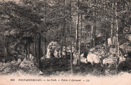 Fontainebleau (la Forêt) - Vallée D'Apremont - Fontainebleau