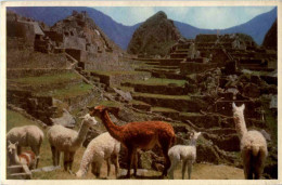 Peru - Machu Picchu - Perú