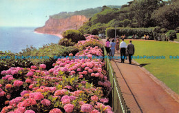 R153168 Keats Green And Cliff Walk. Shanklin. Isle Of Wight. Dixon. 1972 - Monde