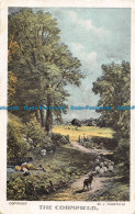 R152546 The Cornfield. J. Constable - World