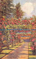 R152553 The Rose Pergola. Kew Gardens. Gale And Polden - Monde