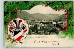 13441231 - Bad Harzburg - Bad Harzburg