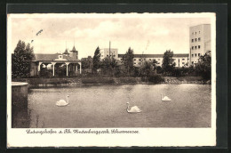 AK Ludwigshafen A. Rh., Hindenburgpark, Schwanensee  - Ludwigshafen