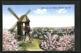 AK Werder /Havel, Partie An Der Windmühle Mit Baumblüte  - Windmills